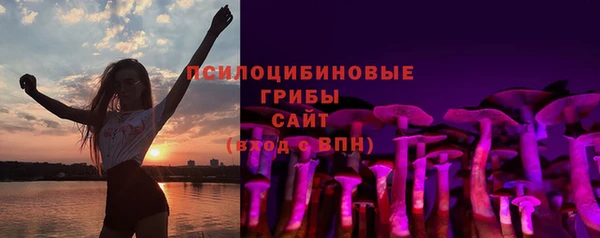 mdpv Армянск