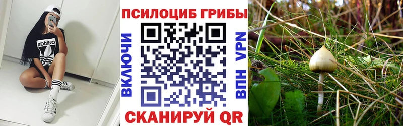 Галлюциногенные грибы прущие грибы  Щигры 