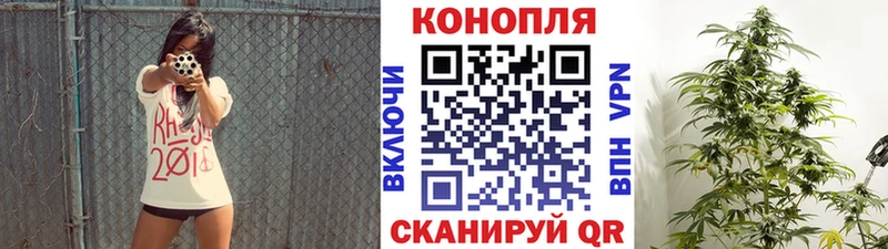 дарнет шоп  Щигры  Бошки Шишки MAZAR 